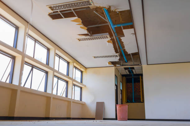 Best Residential water damage restoration  in University Place, WA