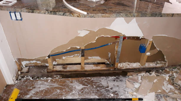 Best Flood restoration services  in University Place, WA
