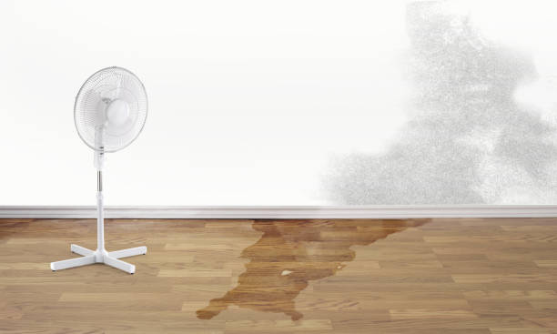 Best Emergency water damage restoration  in University Place, WA