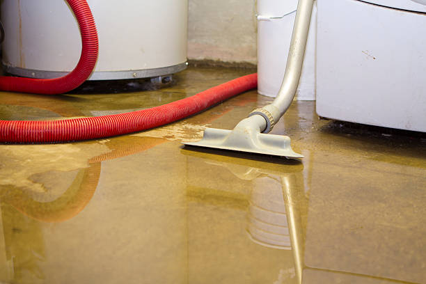 Best Water damage restoration near me  in University Place, WA