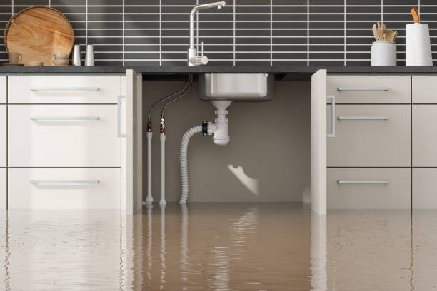 Best Residential water damage restoration  in University Place, WA