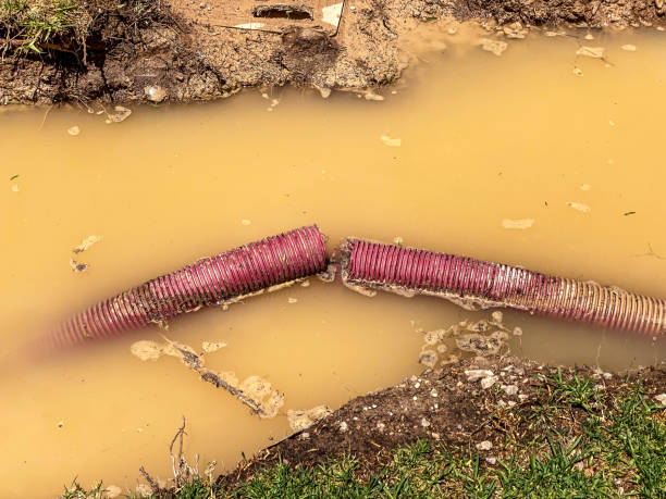 Best Water damage restoration experts  in University Place, WA